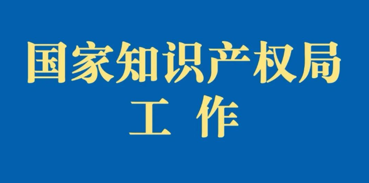國家知識(shí)產(chǎn)權(quán)局依法依規(guī)開展嚴(yán)重違法失信行為懲戒工作