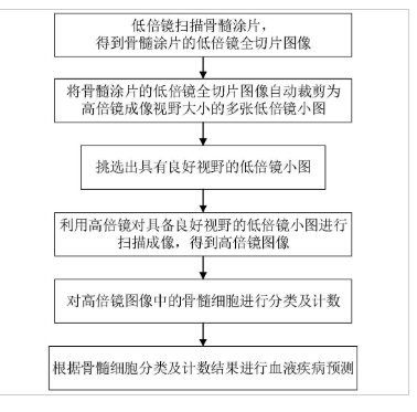 一種基于深度學(xué)習(xí)的骨髓細(xì)胞分類識別方法、裝置及系統(tǒng)