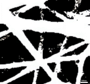 一種負(fù)載單原子的碳納米管催化劑及其制備方法與應(yīng)用