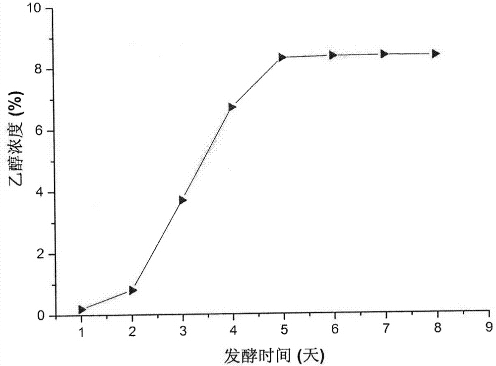 一種發(fā)酵型人工蟲草山楂酒的制備方法