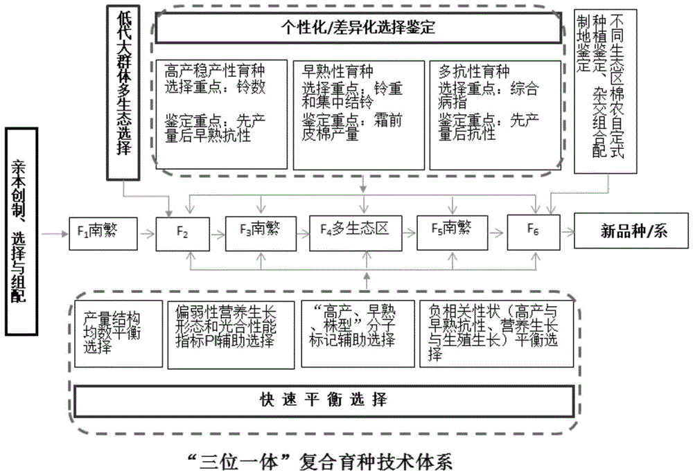 一種高產(chǎn)早熟優(yōu)質(zhì)多抗棉花的育種方法