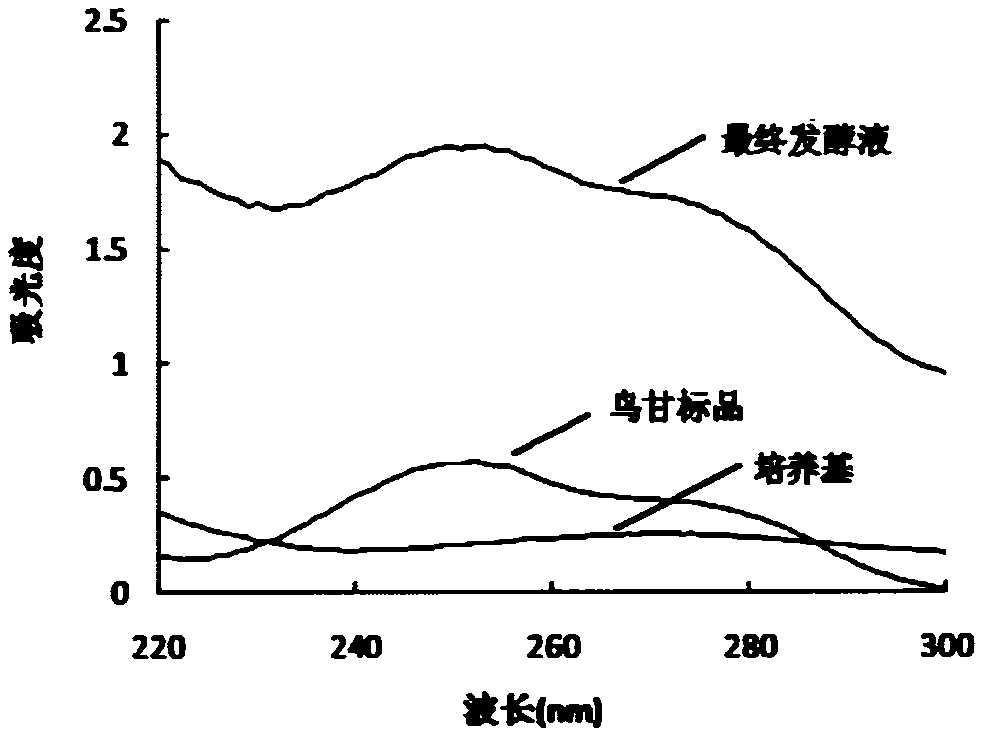 利用鳥苷發(fā)酵液紫外指紋圖譜檢測鳥苷產量模型的構建方法