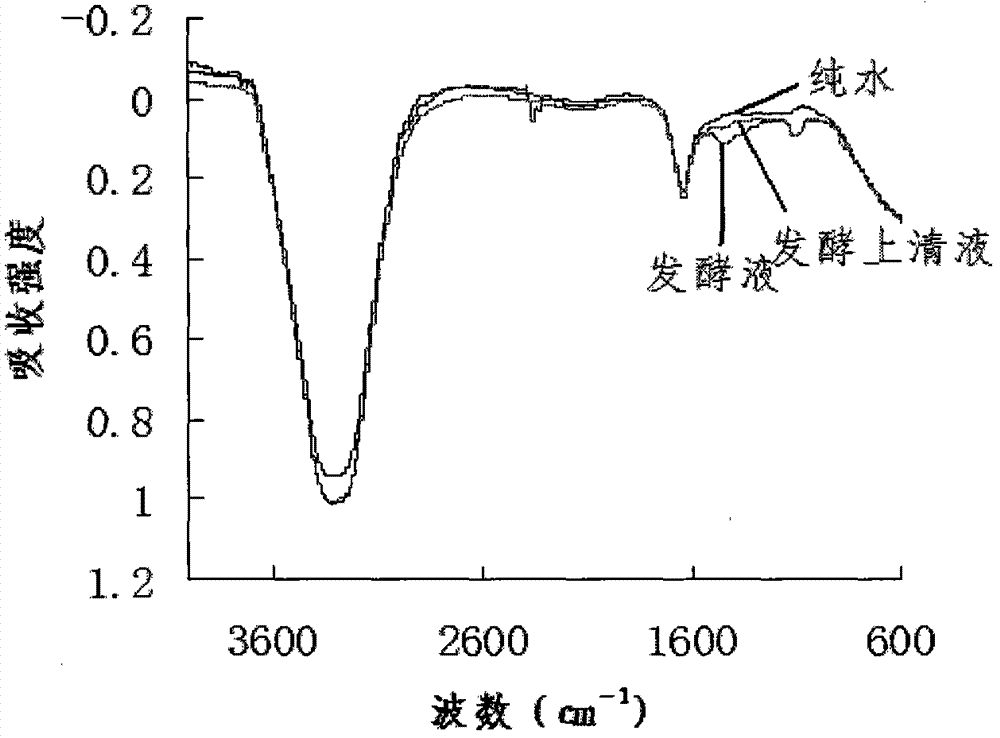 鳥苷發(fā)酵過程紅外指紋圖譜的構(gòu)建方法