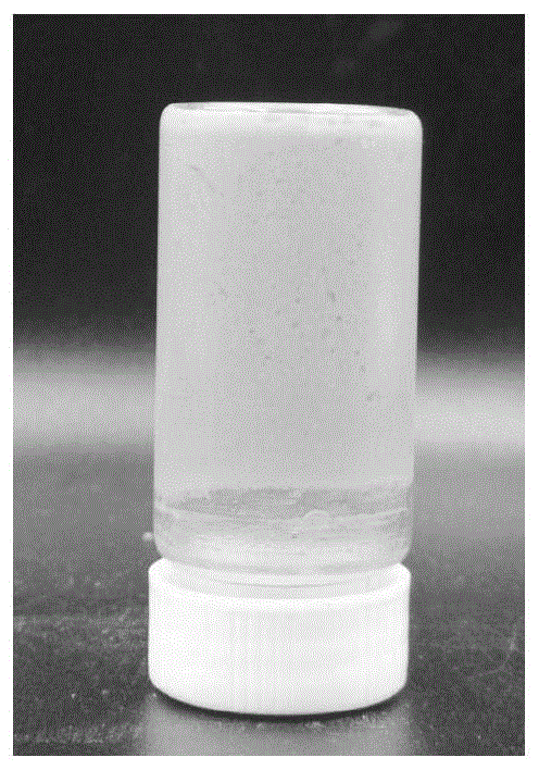 一種負(fù)載β-胡蘿卜素的乳液凝膠的制備方法