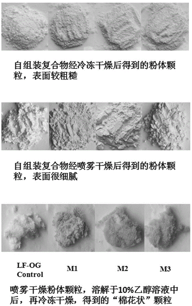 一種基于燕麥β-葡聚糖的澄清型疏水性多酚運(yùn)載體系及其制備方法