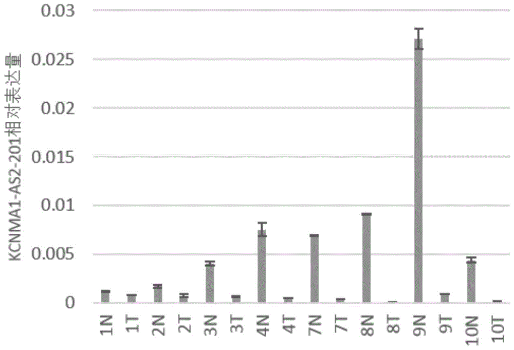 一種lncRNA標(biāo)志物在制備結(jié)直腸癌早期診斷產(chǎn)品中的應(yīng)用、檢測引物、試劑盒