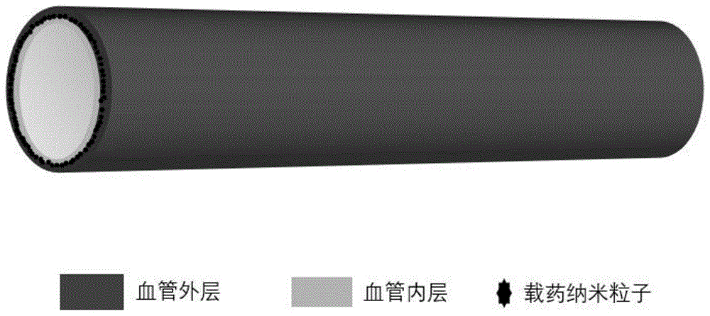 具有促內(nèi)皮化及抗凝雙功能的人工血管及制備方法、用途