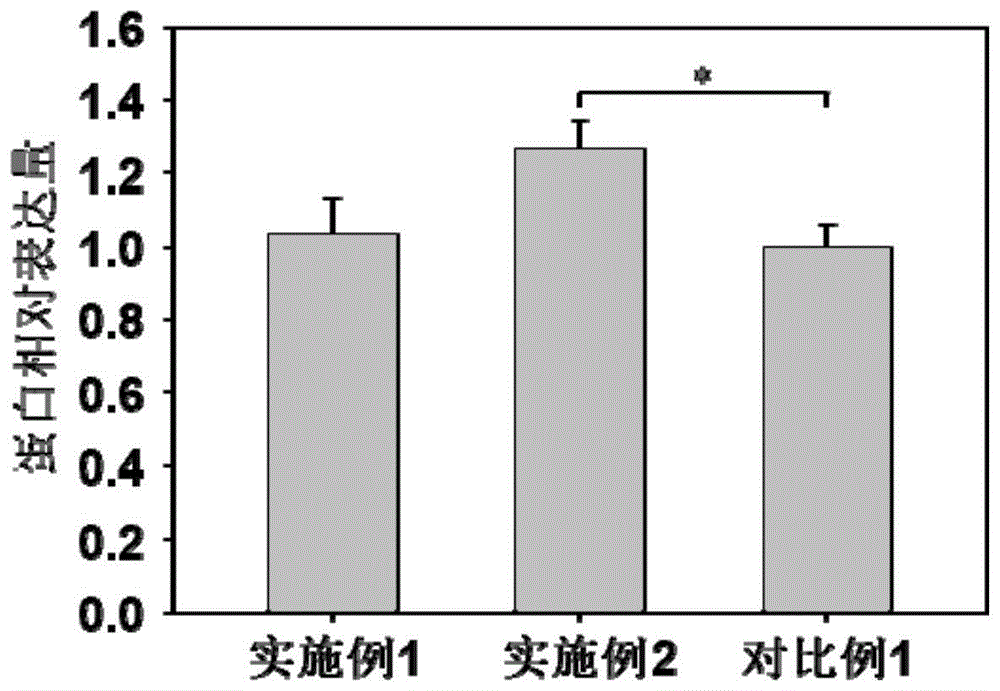 一種無血清無蛋白CHO細(xì)胞培養(yǎng)基及其制備方法、應(yīng)用