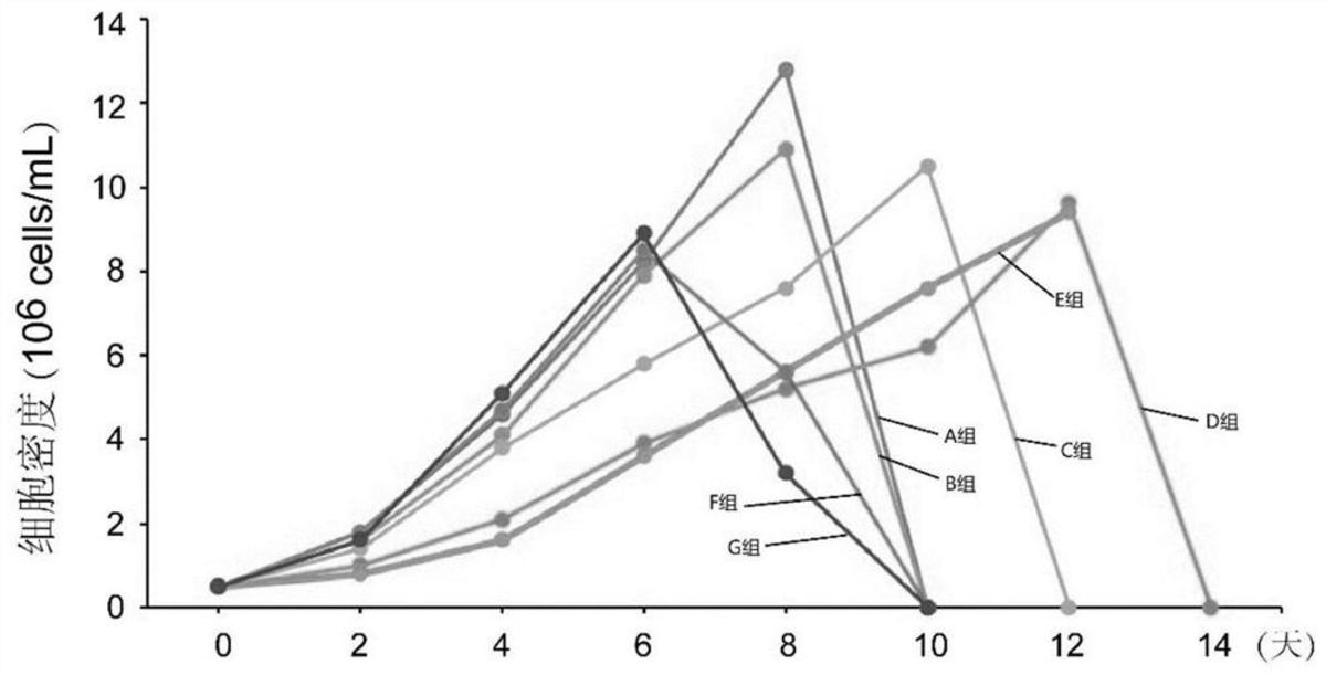 小分子肽及其應(yīng)用、細(xì)胞培養(yǎng)基、核酸分子