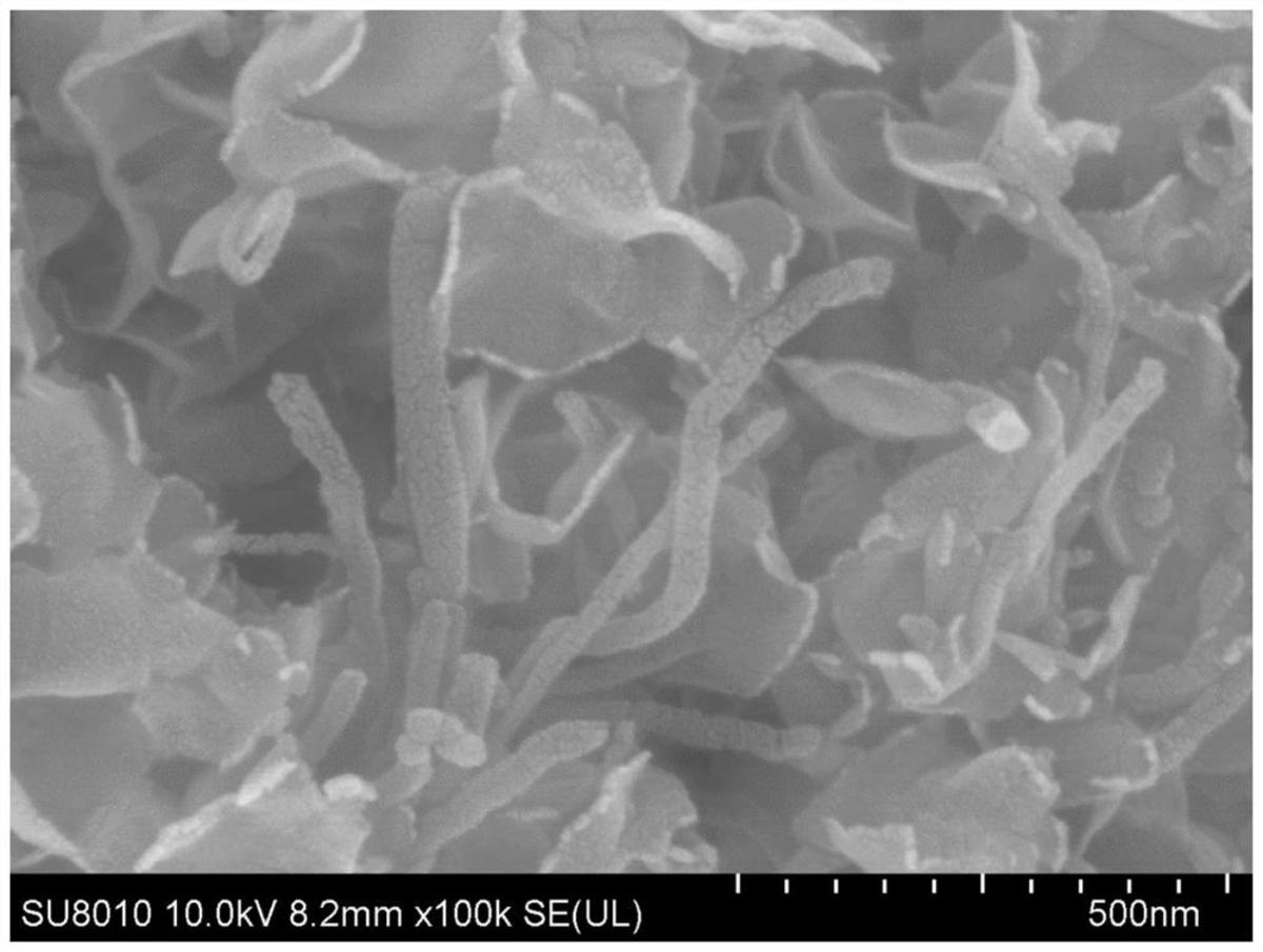 微生物燃料電池用陽極及其制備方法、微生物燃料電池