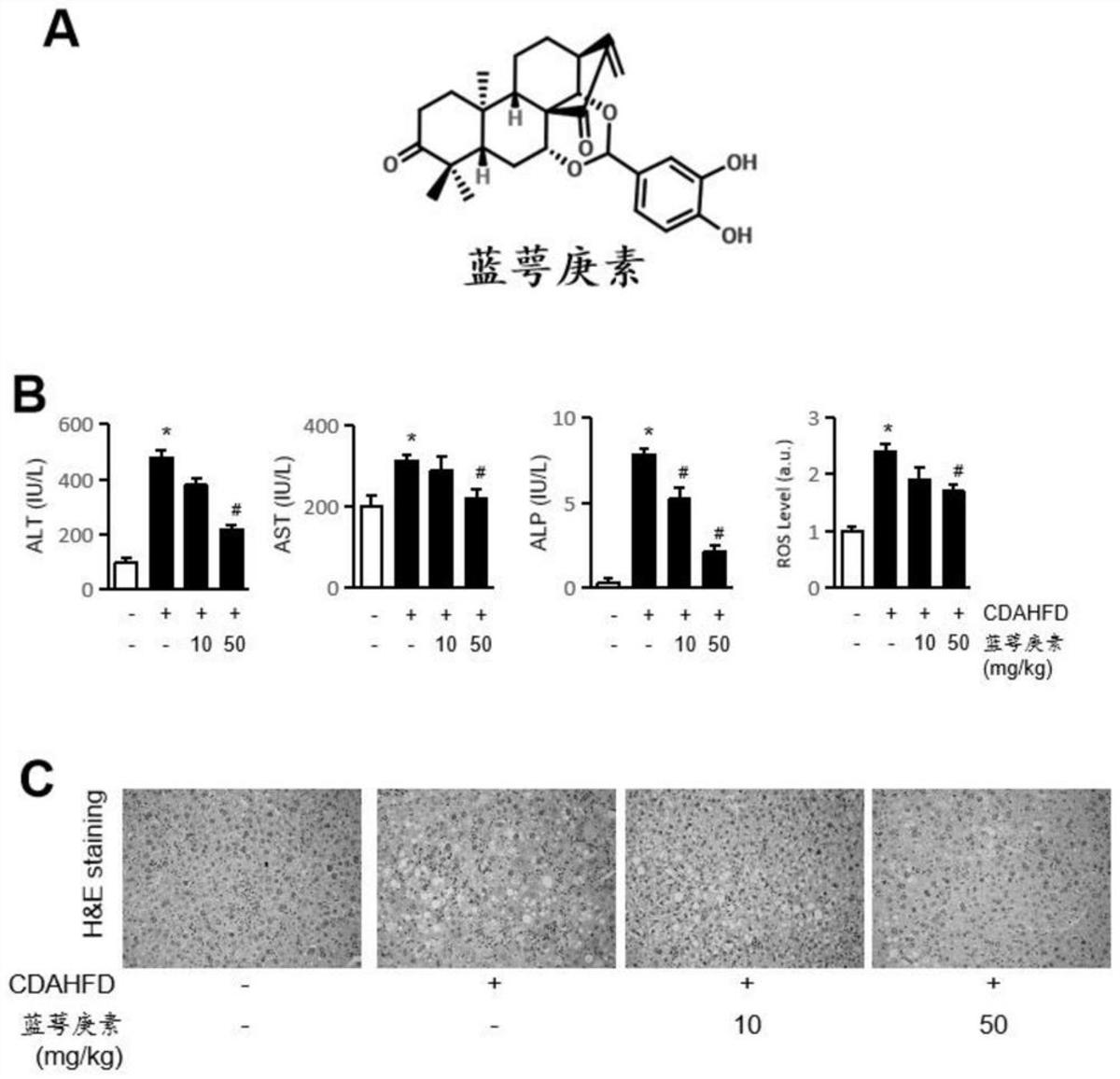 研究藍(lán)萼庚素對(duì)非酒精性脂肪肝的治療作用和機(jī)制的方法