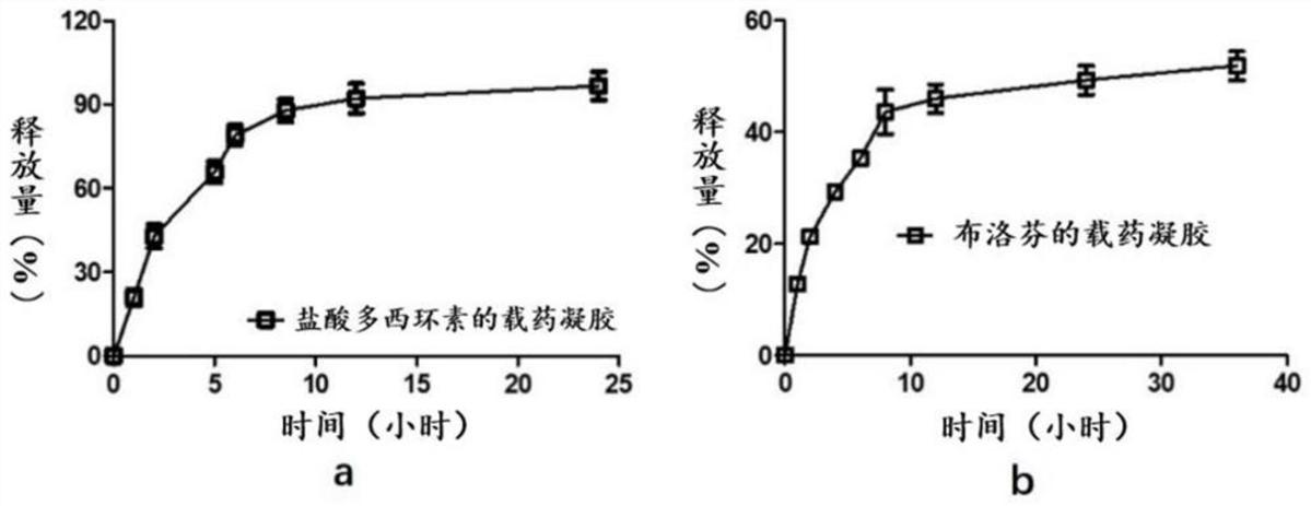 一種基于異斯特維醇的可注射型超分子水凝膠及其制備方法與應(yīng)用
