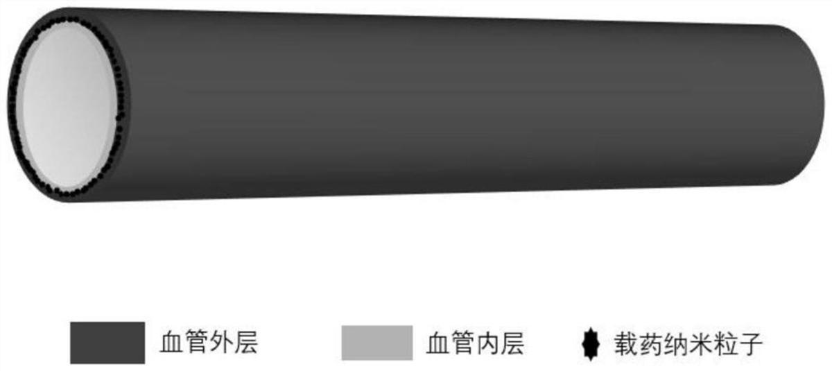 具有促內(nèi)皮化及抗凝雙功能的人工血管及制備方法、用途